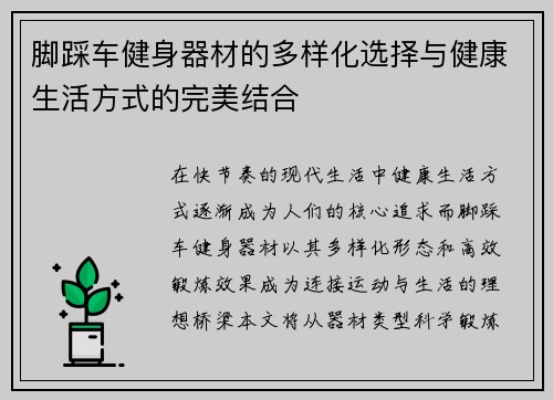 脚踩车健身器材的多样化选择与健康生活方式的完美结合