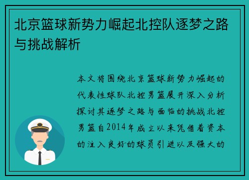 北京篮球新势力崛起北控队逐梦之路与挑战解析