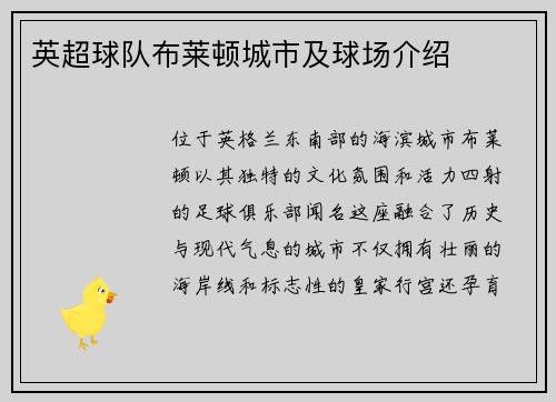 英超球队布莱顿城市及球场介绍